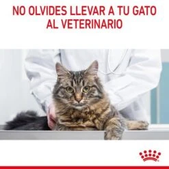 Royal Canin Hairball Care En Salsa -Catit Ventas rc fcn hairballpouchgravy 13 es es 3