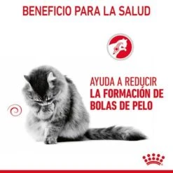 Royal Canin Hairball Care En Salsa -Catit Ventas rc fcn hairballpouchgravy 6 es es 4