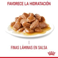 Royal Canin Hairball Care En Salsa -Catit Ventas rc fcn hairballpouchgravy 7 es es 3