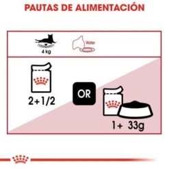 Royal Canin Instinctive En Gelatina -Catit Ventas rc fhn 3 3