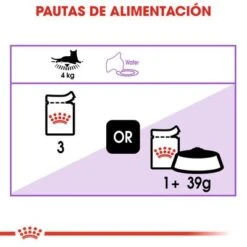 Royal Canin Sterilised En Gelatina -Catit Ventas rc fhn 3 6 1