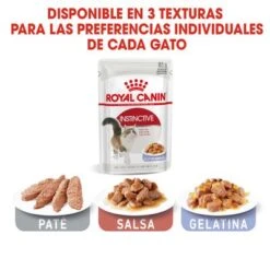 Royal Canin Instinctive En Gelatina -Catit Ventas rc fhn 4 6