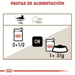 Royal Canin Ageing +12 En Salsa -Catit Ventas rc fhn wet ageing12gravy cv eretailkit 4 es es 8