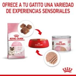 Royal Canin Mother & Babycat Ultra Soft Mousse -Catit Ventas rc spt wet babycat can cv 4 es es 4
