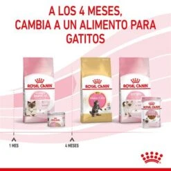 Royal Canin Mother & Babycat Ultra Soft Mousse -Catit Ventas rc spt wet babycat can cv 8 es es 4