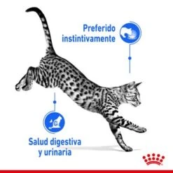 Royal Canin Indoor Sterilised En Salsa -Catit Ventas rc spt wet indstergravy cv 1 es es 8