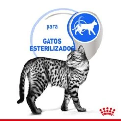 Royal Canin Indoor Sterilised En Salsa -Catit Ventas rc spt wet indstergravy cv 2 es es 5