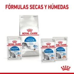 Royal Canin Indoor Sterilised En Gelatina -Catit Ventas rc spt wet indsterjelly cv 4 es es 8