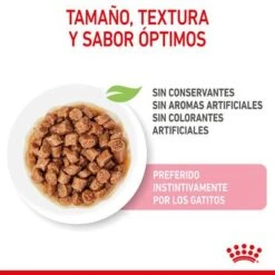 Royal Canin Kitten Instinctive En Salsa -Catit Ventas rc spt wet kitten cig cv 2 es es 1 5