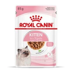 Royal Canin Kitten Instinctive En Salsa -Catit Ventas rc spt wet kitten cig mv 3 es es 1 6