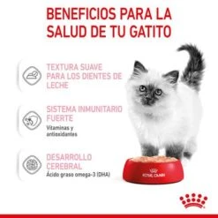 Royal Canin Kitten Paté -Catit Ventas rc spt wet kitten loaf cv 3 es es 3