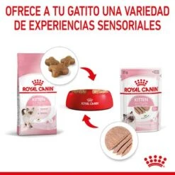 Royal Canin Kitten Paté -Catit Ventas rc spt wet kitten loaf cv 4 es es 8