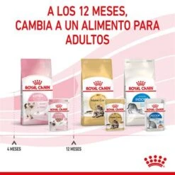 Royal Canin Kitten Paté -Catit Ventas rc spt wet kitten loaf cv 8 es es 4