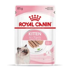 Royal Canin Kitten Paté -Catit Ventas rc spt wet kitten loaf mv 3 es es 9