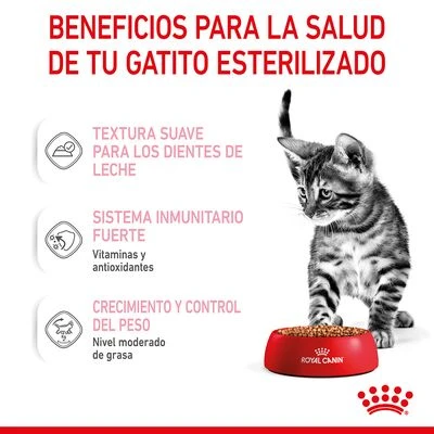 Royal Canin Sterilised Kitten en salsa Royal Canin Sterilised Kitten En Salsa -Catit Ventas rc spt wet kittenster cig cv 3 es es 4