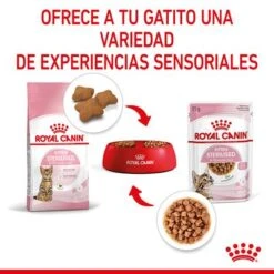 Royal Canin Sterilised Kitten En Salsa 6 Royal Canin Sterilised Kitten En Salsa -Catit Ventas rc spt wet kittenster cig cv 4 es es 7