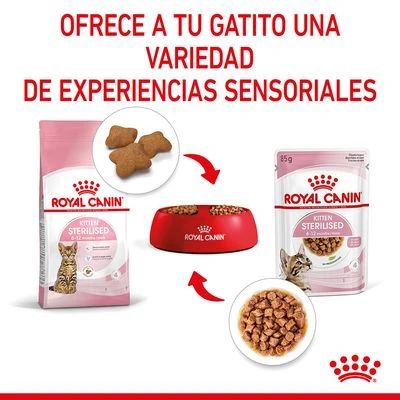 Royal Canin Sterilised Kitten en salsa Royal Canin Sterilised Kitten En Salsa -Catit Ventas rc spt wet kittenster cig cv 4 es es 7
