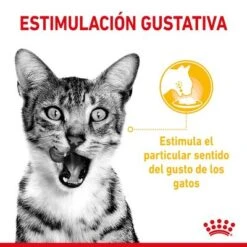 Royal Canin Sensory En Salsa - Pack Mixto -Catit Ventas rc spt wet sensmultipack cv 2 es es 9