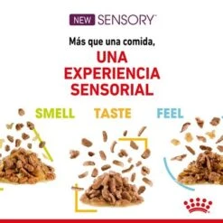 Royal Canin Sensory En Salsa - Pack Mixto -Catit Ventas rc spt wet sensmultipack cv 4 es es 4