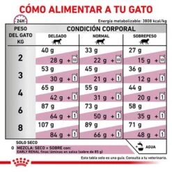 Royal Canin Veterinary Feline Early Renal -Catit Ventas rc vet dry catearlyrenal cv eretailkit 6 es es 6