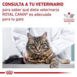 Royal Canin Veterinary Feline Early Renal -Catit Ventas rc vet dry catearlyrenal cv eretailkit 9 es es 7
