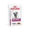 Royal Canin Veterinary Feline Early Renal