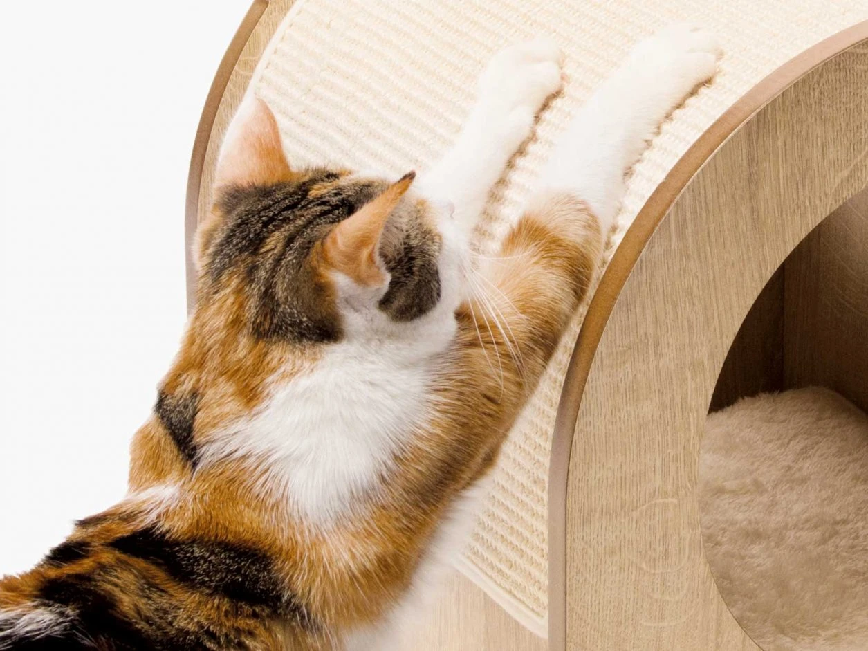 Catit Minou Catit Minou -Catit Ventas vesper minou scratching mat 63525300ca66a