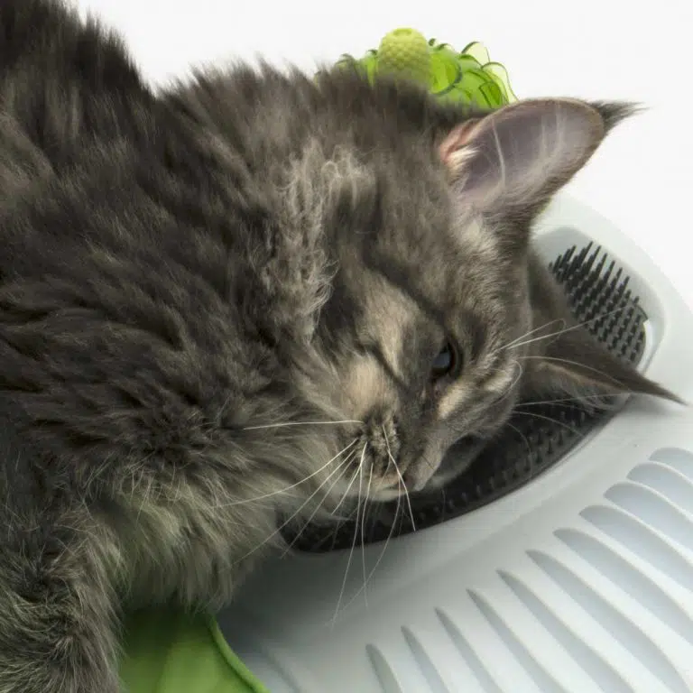 Centro de masajes Sense 2.0 Wellness Catit Centro De Masajes Sense 2.0 Wellness -Catit Ventas wellness multi purpose massager 768x768 jpg 635a36a55c61d