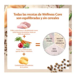 Wellness Core Adult Pollo Y Pavo Pienso Para Gatos -Catit Ventas wellness core pienso gatos WEL10724 Pollo