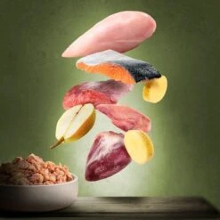 Purizon Adult 6 X 200 G Comida Húmeda Para Gatos, Sin Cereales 11 Purizon Adult 6 X 200 G Comida Húmeda Para Gatos, Sin Cereales -Catit Ventas zop 21 117 purizon katze nassfutter marketingboards lamm lachs 4