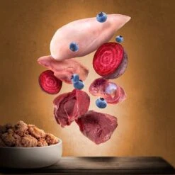 Purizon Adult 6 X 200 G Comida Húmeda Para Gatos, Sin Cereales 8 Purizon Adult 6 X 200 G Comida Húmeda Para Gatos, Sin Cereales -Catit Ventas zop 21 117 purizon katze nassfutter marketingboards wildschwein 9